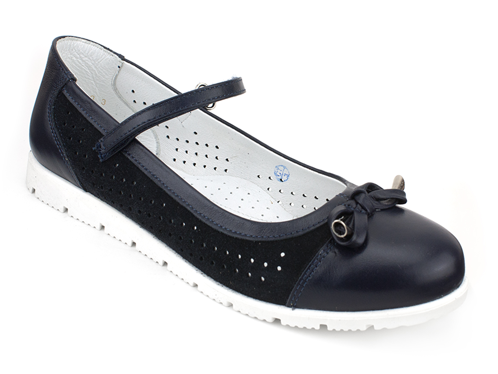 63224-1_Шаговита-1