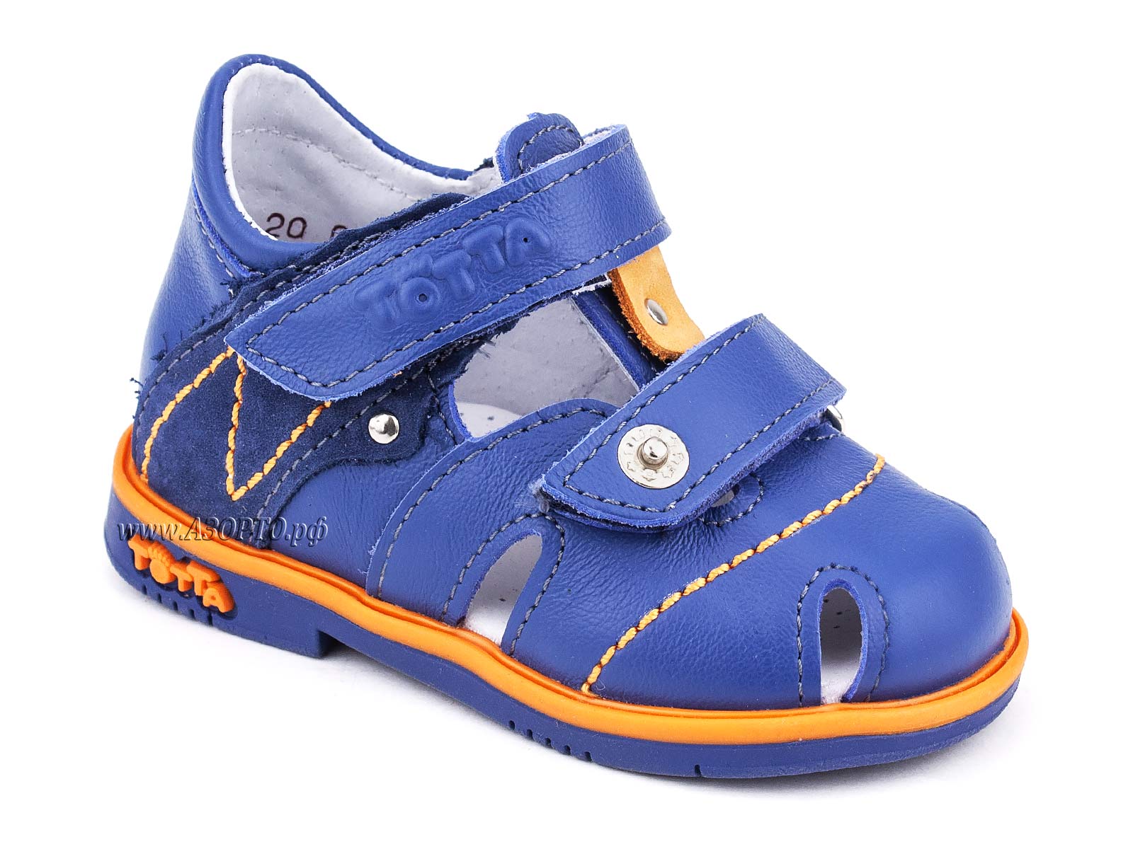 0111-1-3,13,15_Тотто_01