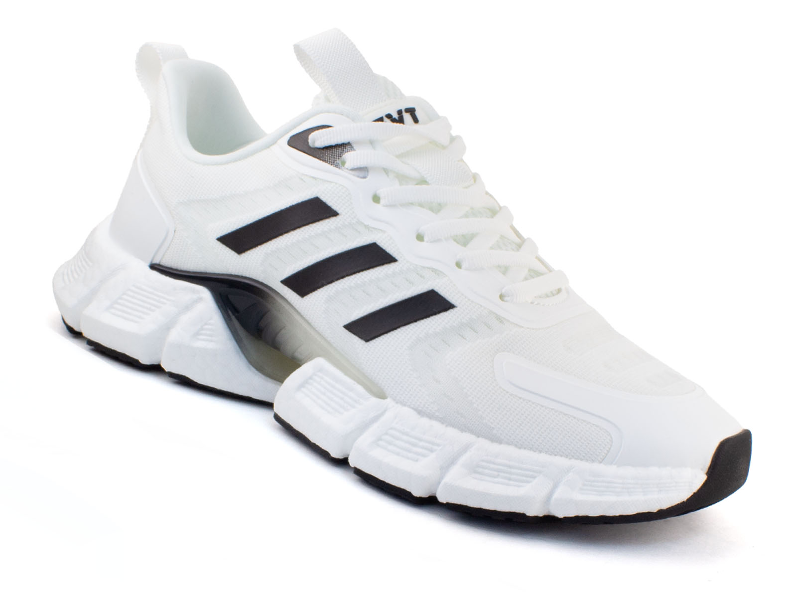 710113 Шаговита 1