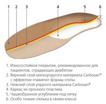 ORTO-Dia_05 ORTO-Dia_05