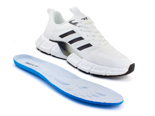 710113 Шаговита 2