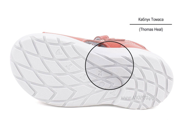 11-4-706_Тотто_05