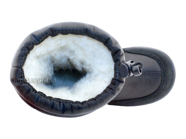 215004-01-Нордман-Луми-Г-Азорто