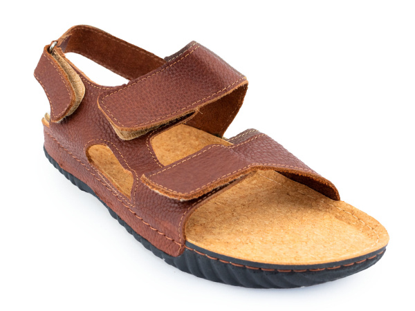 84103-022904 Оливер (07) 1