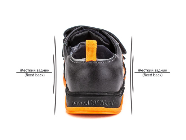 31185_Шаговита_04