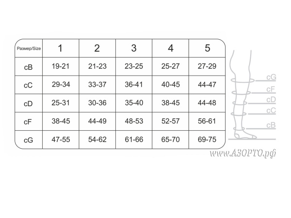 Ergoforma-Чулки-антиэмболические-таблица