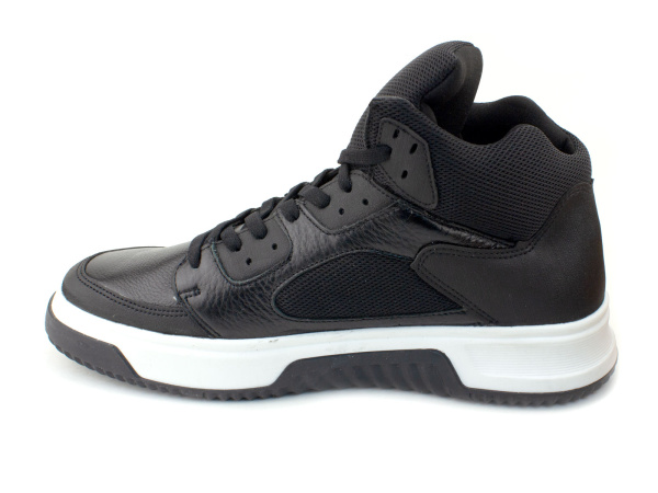 55387Б-1-ЧБ-шаговита_03