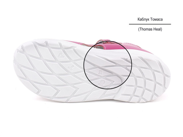 1144-747_Тотто_05