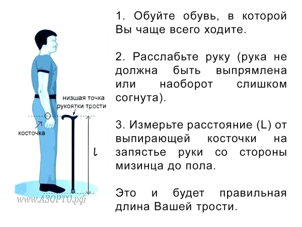трости