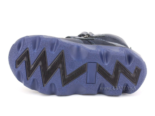 BL-271(50)_Botillini-04