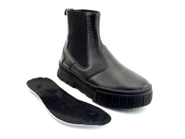 65333Б-шаговита_02