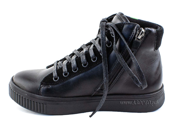 55317Б_Шаговита_бот_байка_3