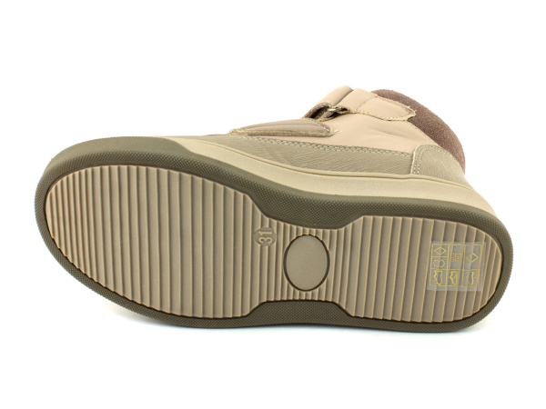 45413Б-шаговита_05