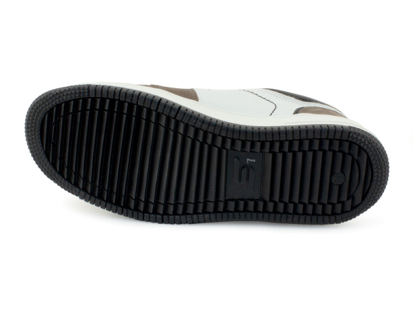 61353-1-шаговита_05