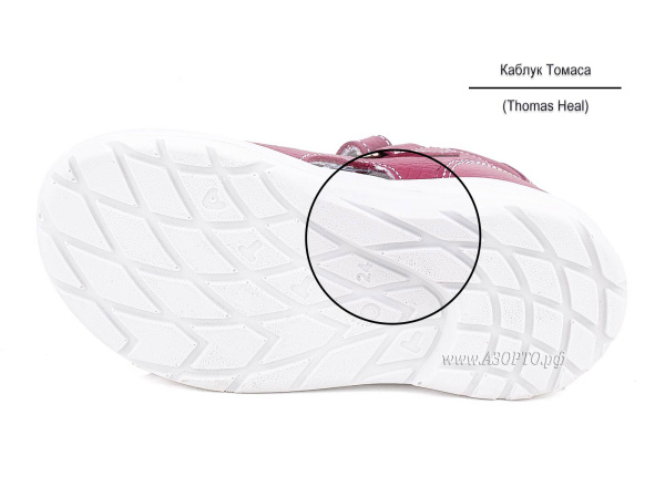 1142-747_Тотто_05