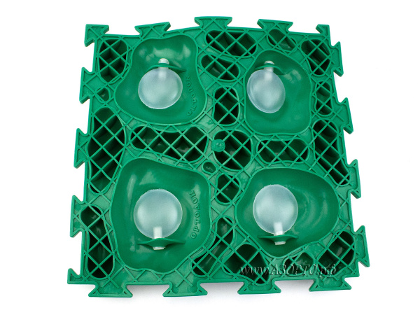 ОРТОДОН-Набор-Мох(2)