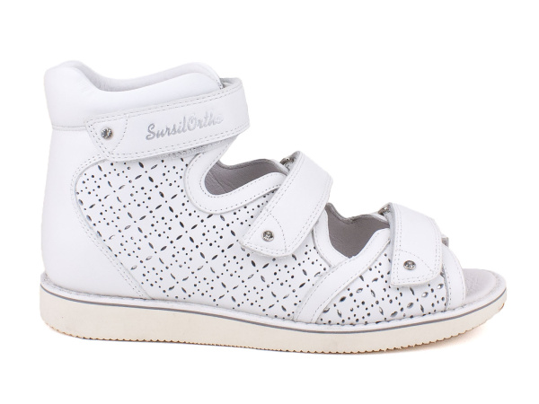 15-311М-Сурсил_02