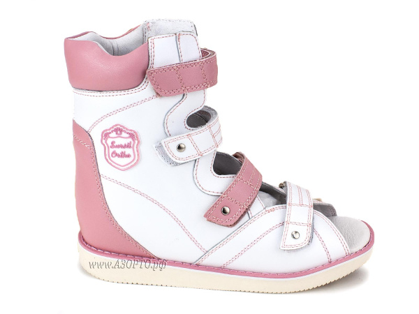 23-104-1_Сурсил_02