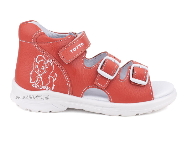 1142-706_Тотто_02