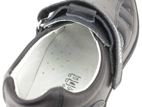 BS-268(05)(31-34)(35-38) Боттилинни_5