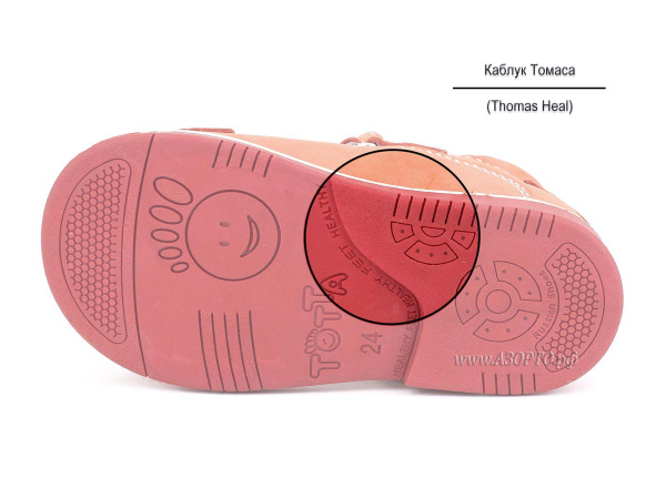 021-226,236_Тотто_05