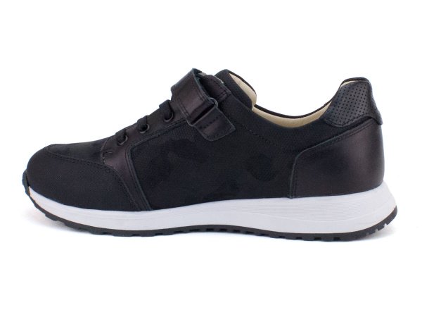 012-111-043-219-347 (31-36) 4