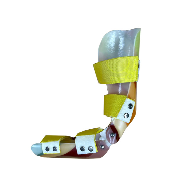 SjI8HISam7Q SjI8HISam7Q