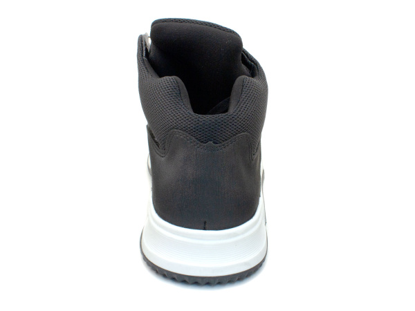 55387Б-1-ЧБ-шаговита_04