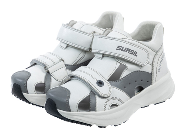 SURSIL-ORTHO OS-253103-1 2