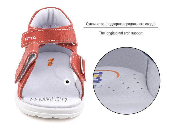 11-4-806_06 11-4-806_06