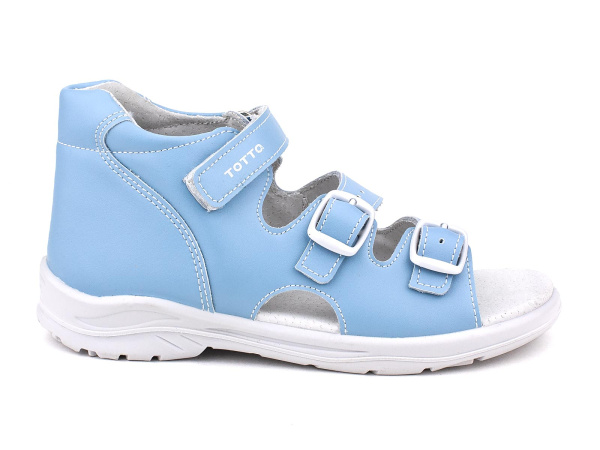 1142-63-Тотто_02