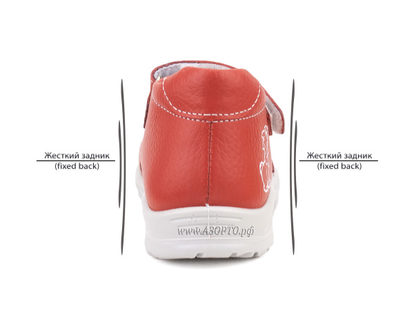 11-4-706_Тотто_04