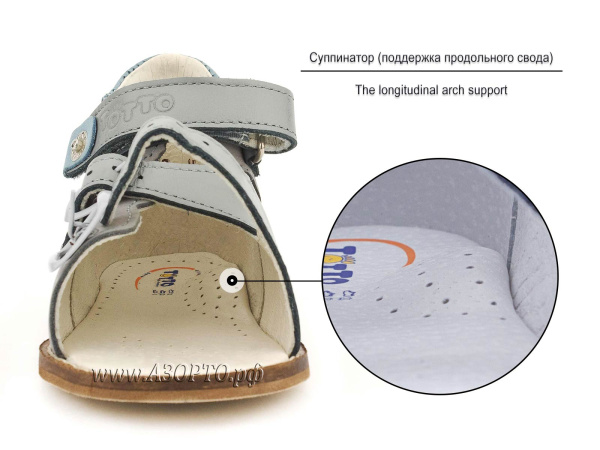 022-01,111,09-Тотто_02 022-01,111,09-Тотто_02