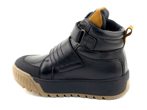 35349Б-Ч-шаговита_02