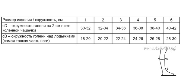 322ч-Ergoforma,-2-класс-компрессии-(23-32мм-рт.ст-размеры