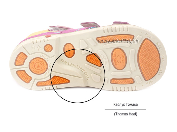 553-6-Миниколор_3