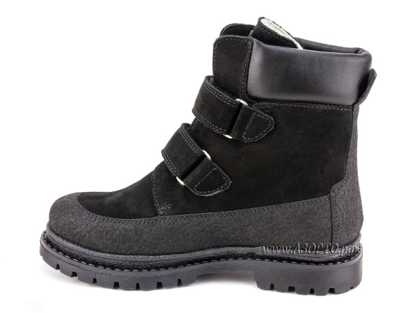 BL-284(5)_Botillini-03