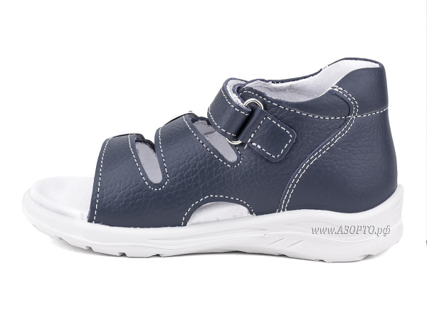 11-2-712_Тотто_03