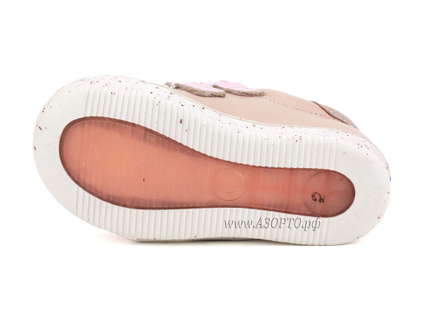 21156_Шаговита_05