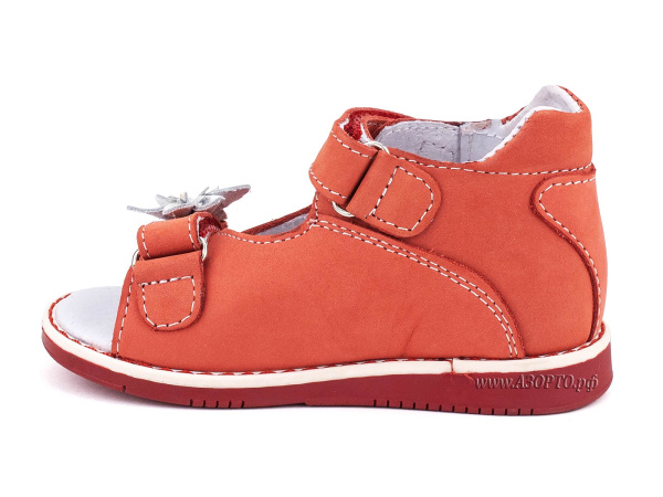 021-226,236_Тотто_03