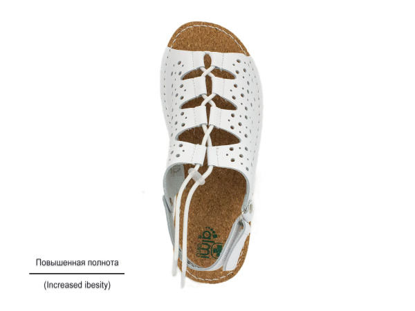 011Т-Ж-К0 (6238-020100) Лиана 6