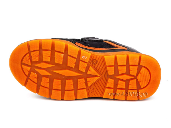 31185_Шаговита_05