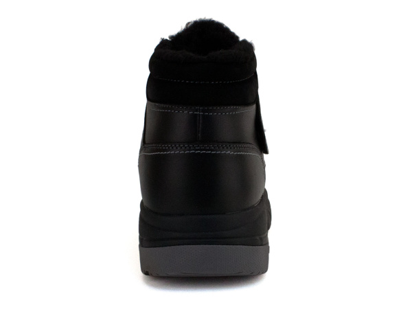 DSHC-241303 SURSIL 5