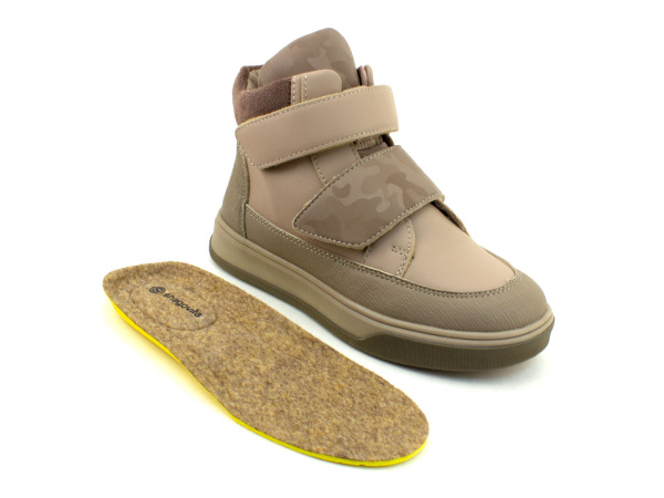 45413Б-шаговита_02