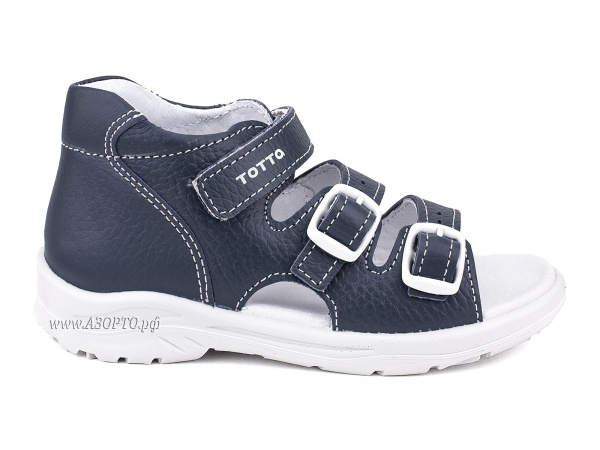 11-2-712_Тотто_02