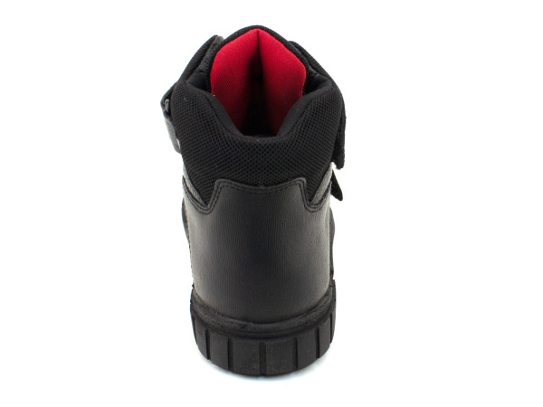 35370Б--шаговита_03