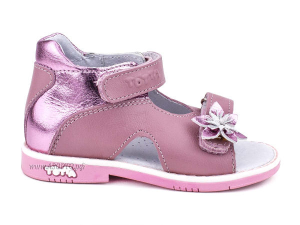 021-2-217,537_Тотто_02