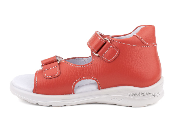 11-4-706_Тотто_03