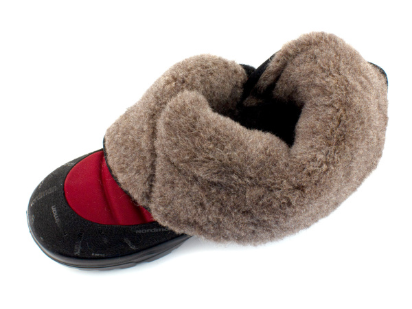 415910-03-нордман_03