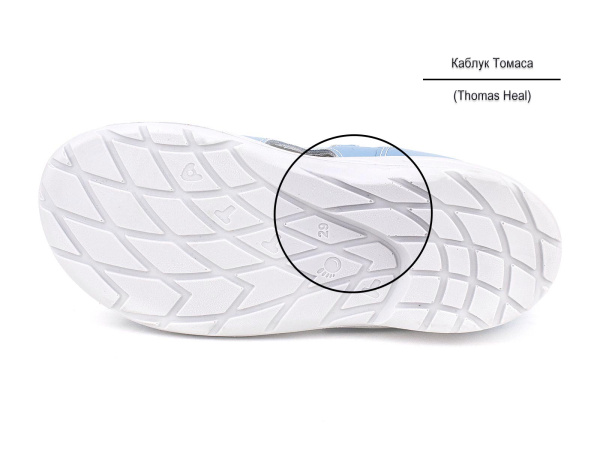 1142-63-Тотто_05